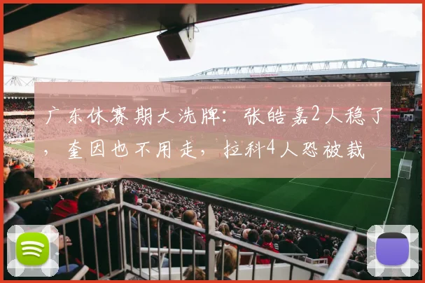 广东休赛期大洗牌：张皓嘉2人稳了，奎因也不用走，拉科4人恐被裁