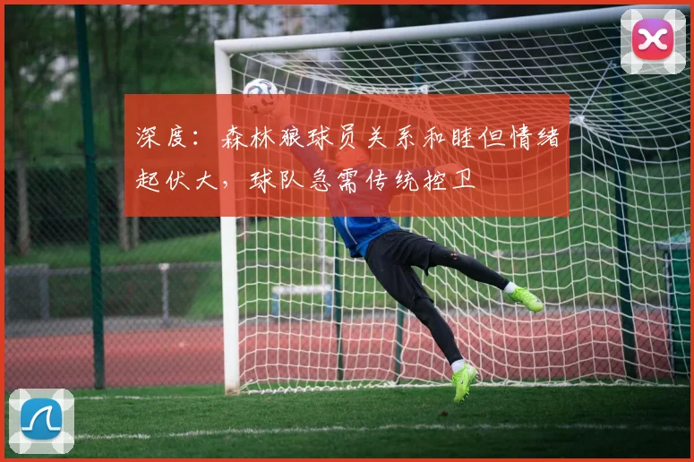 深度：森林狼球员关系和睦但情绪起伏大，球队急需传统控卫